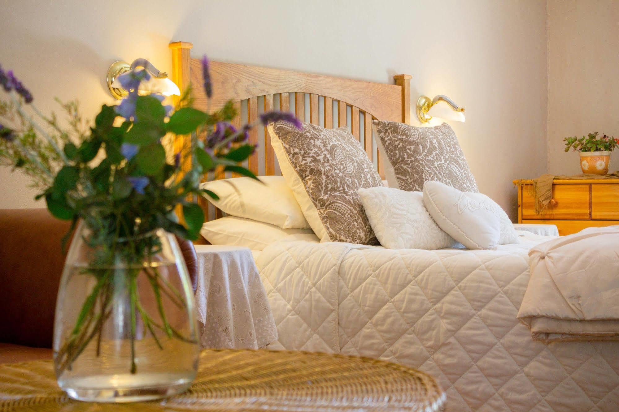 Bed and Breakfast Adley House à Oudtshoorn Extérieur photo