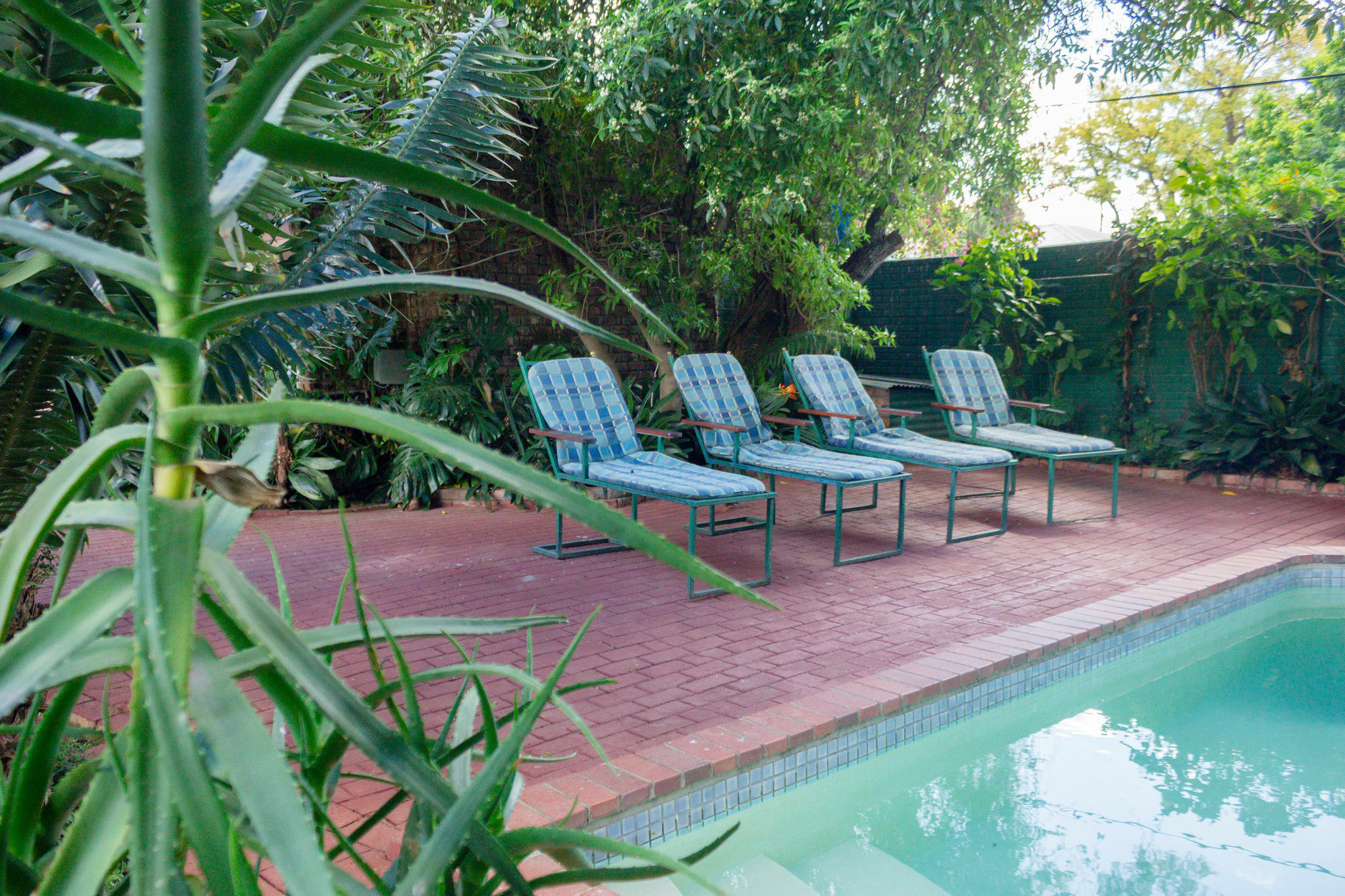Bed and Breakfast Adley House à Oudtshoorn Extérieur photo
