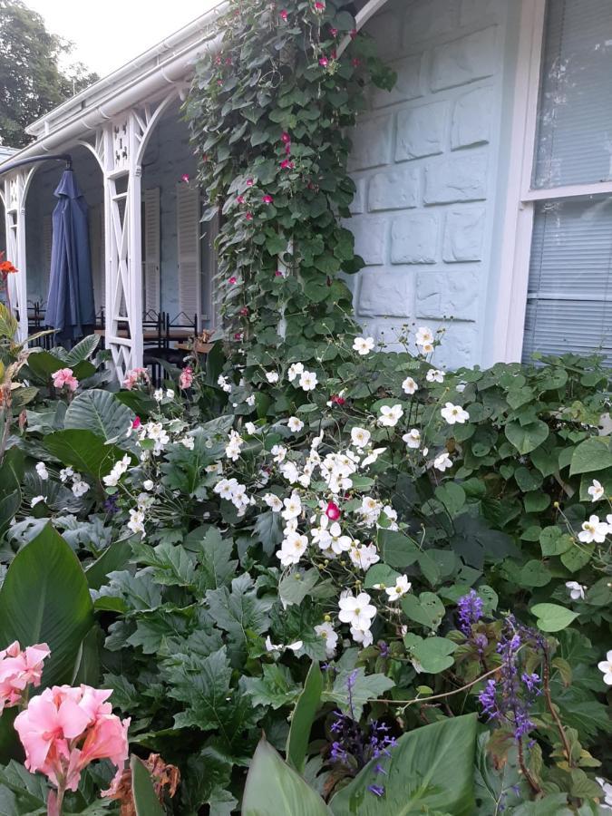 Bed and Breakfast Adley House à Oudtshoorn Extérieur photo